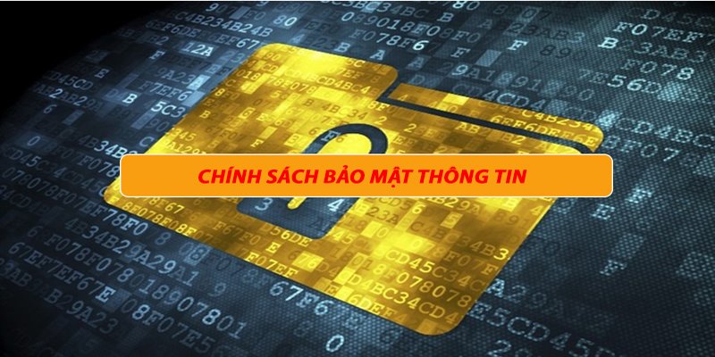 Trách nhiệm của nhà cái trong việc phát triển môi trường cá cược an toàn