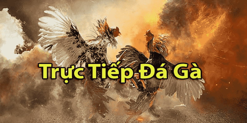 Các lưu ý trên cũng rất cần thiết trong quá trình dự đoán những trận đấu